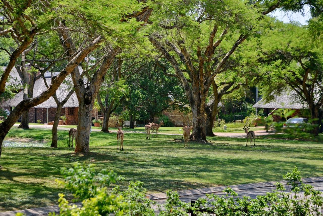 Cambalala - Kruger Park Lodge Hazyview Bagian luar foto
